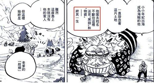 航海王白胡子最新爆料,航海王世界新篇章即将开启！