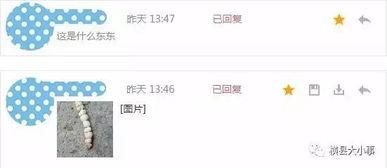 石家庄水果最新爆料微博,品种丰富,价格亲民,快来尝鲜! 第3张 石家庄水果最新爆料微博,品种丰富,价格亲民,快来尝鲜! 第3张